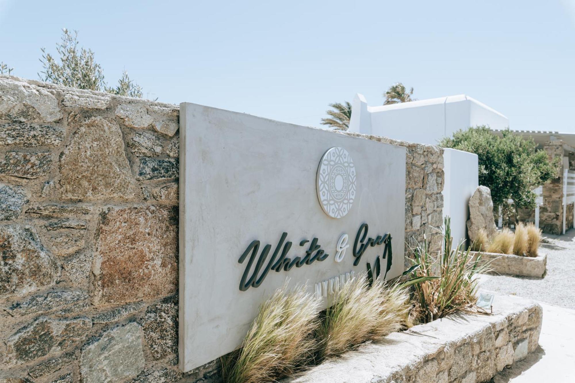 White And Grey Apartmán